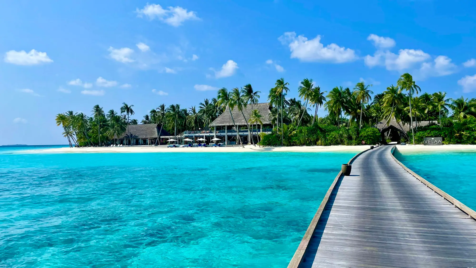 A wooden jetty leading to a palm-fringed island in the Maldives