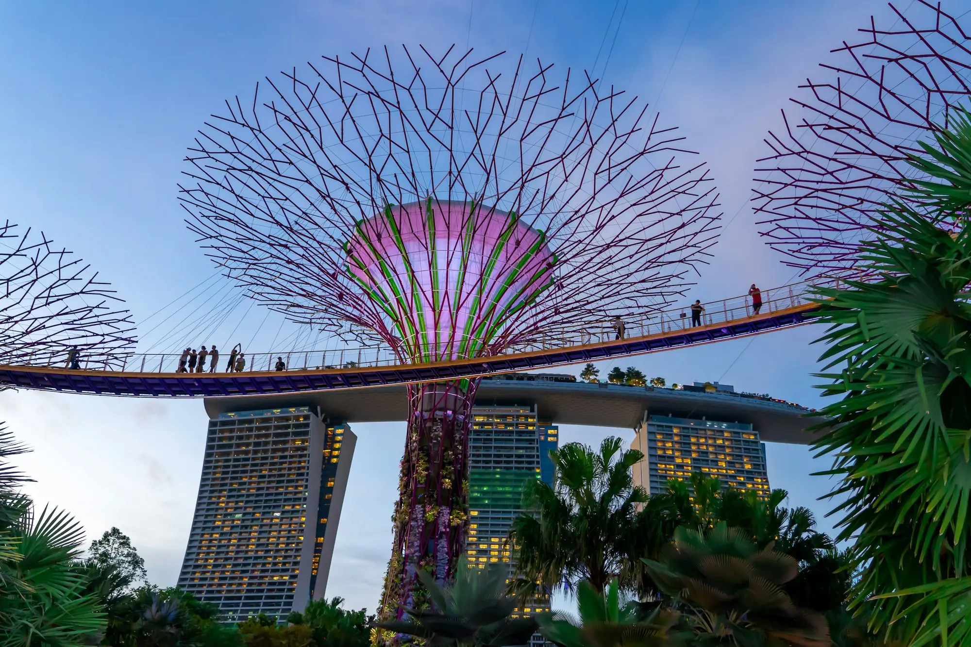 The Supertrees of Gardens by the Bay, Singapore